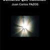CLARIDADES QUE NUBLAN. SOMBRAS QUE ILUMINAN. Juan Carlos PAZOS