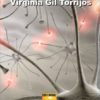 LA MUTACIÓN DEL AMOR - Virginia GIL TORRIJOS