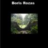 HUYENDO DE ESTE JARDÍN, ME ENCONTRE CON EL VIENTO - Boris ROZAS