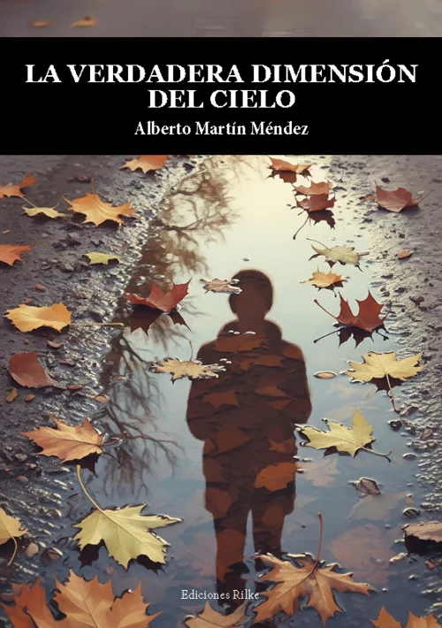 La verdadera dimesión del cielo Portada